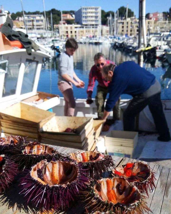 200M De La Plage ,3Mn Du Port A 50M Du Centre Ville Carry-le-Rouet Εξωτερικό φωτογραφία